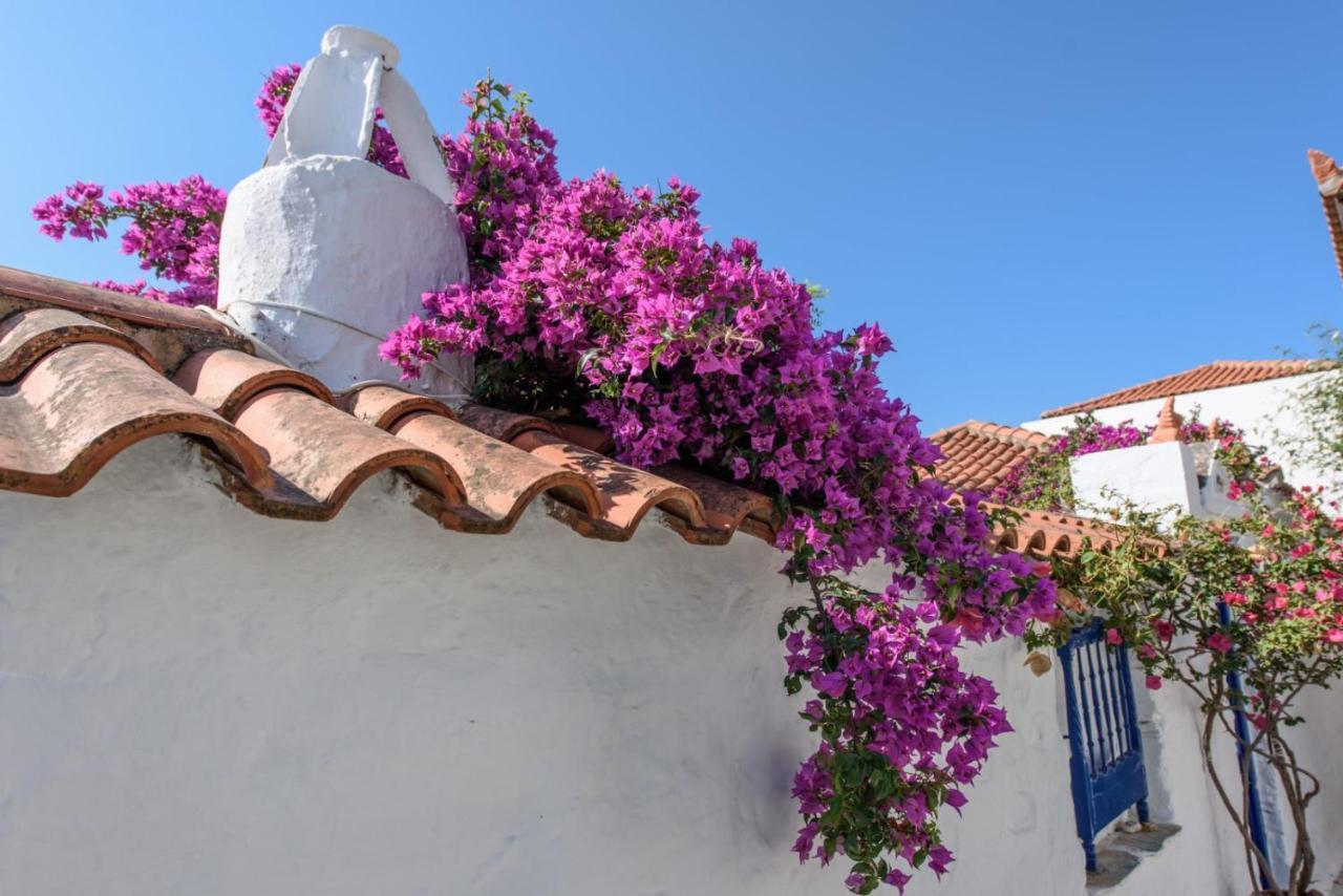 Villea Seaview Apartments Bandar Skopelos Luaran gambar